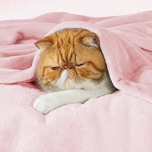 Bedsure GentleSoft Pink Fleece Throw Blanket for Couch - 300GSM Cozy Soft Blankets for Women, Cute Small Fleece Throws for Girls, Pink Home Decor Gifts, 50x60 Inches - Image 6