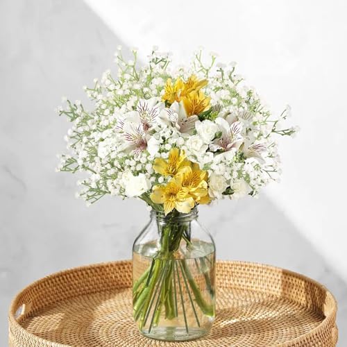 N&T NIETING 24Pcs Babys Breath Artificial Flowers Bulk Faux Flowers, White - Image 6