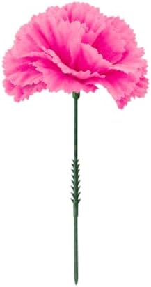 Royal Imports Carnation Artificial Flowers for Weddings – Hot Pink 100pk by RoyalImports
