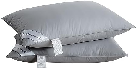 Natural Goose Down Feather Pillow for Sleeping 2 Pack,100% Cotton Cover Bed Pillow -Side Back Sleepers Standard Size Set of 2 by Eastwarmth