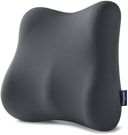 Lumbar Support Pillow Office Chair Lumbar Pillow Lower Back Pain Relief Cozy Dark Gray Memory Foam Back Cushion with Removable Cover Suitable for Car, Bed by Unknown
