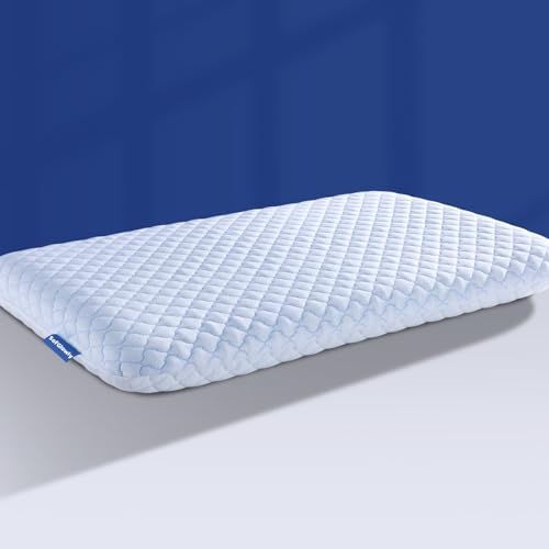SofGlowly Ultra Thin Flat Pillows for Sleeping, Cooling Memory Foam Pillow 2.75 inch Height Ultra Thin Pillow,Slim Bed Pillows for Stomach Back Sleeper,Standard Size -16x25 Inch by SofGlowlycomforteveryday
