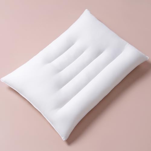 Pozino Flat Thin Pillows for Sleeping - Standard Size 1 Pack Slim Bed Pillows for Side Back Stomach Sleepers,2.5 inch Height Ultra Low Pillows,Down Alternative Filling by Pozino