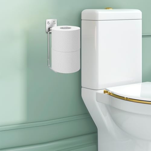 Tokokimo Toilet Paper Storage, Wall Mount Toilet Paper Holder Self Adhesive for 2 Roll Tissue, Over The Tank Toilet Paper Holder Stainless Steel for Bathroom Storage (Silver 1Pcs) by Tokokimo