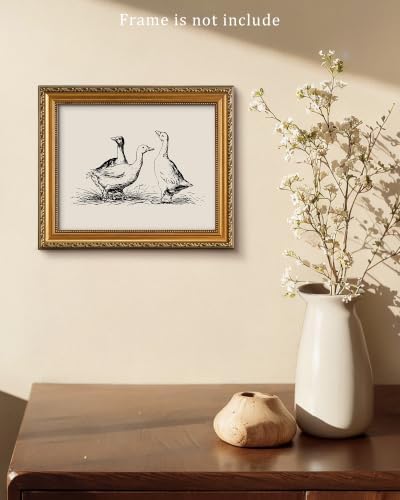 Vodefoad Goose Sketch Vintage Wall Art Retro Nursery Sketch Print Rustic Ducks Wall Decor for Gallery Nursery Bedroom Bathroom Office - 11x14Inch Unframe - Image 6
