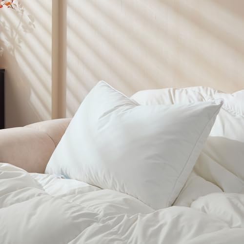 Goose Feather Down Pillows King Size Set of 1, Soft Pillows with 100% Organic Cotton Fabric, Luxury Hotel Quality Bed Pillow 1 Pack for Sleeping, Breathable & Fluffy (20" x 36") by Saisier