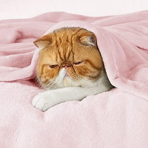 Bedsure GentleSoft Fleece Blanket Twin Size Pink - 300GSM Lightweight Plush Fuzzy Cozy Soft Valentines Blanket for Bed, Sofa, Couch, Travel, Camping, 60x80 inches - Image 2