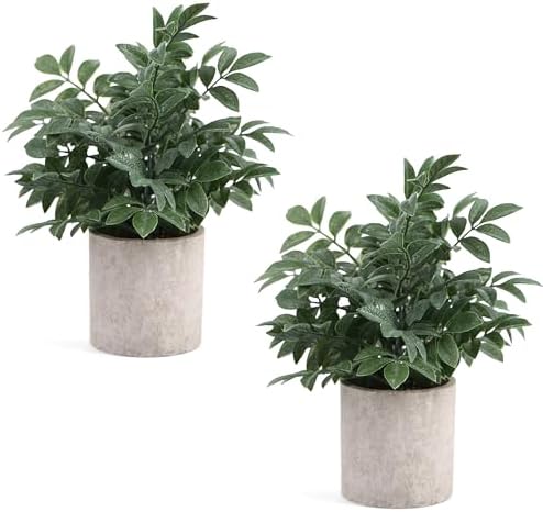 Coferset 2 Pack Small Fake Plants Herb Potted,Gray Green by Coferset