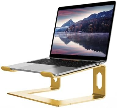 ALASHI Ergonomic Laptop Stand, Aluminum Desk Riser, 10-15.6", Gold by ALASHImakeyourlifesimplerandeasier%EF%BC%81