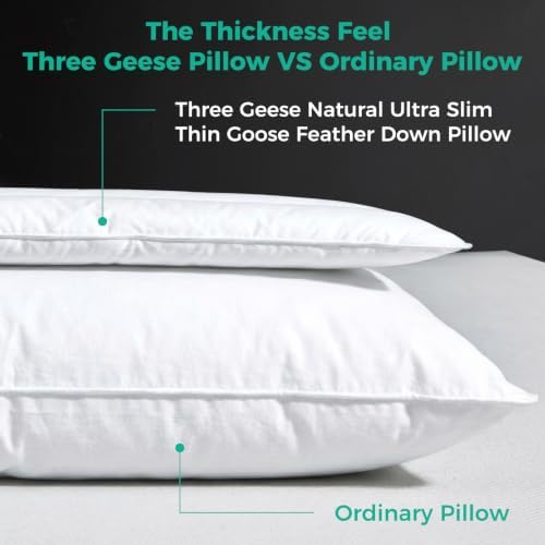 Three Geese Luxury Natural Flat Thin Goose Feather Down Pillows Standard Size, 2.5" Height, 100% Organic Cotton Cover, Medium Firm Hotel Collection Ultra Slim Thin Bed Pillows, Machine Washable,1 Pack - Image 3
