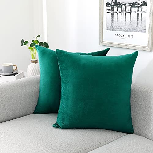 NiNi ALL Teal Velvet Throw Pillow Covers 20x20 Pack of 2 Decorative Couch by NiNiALL