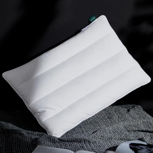 Three Geese Luxury Natural Flat Thin Goose Feather Down Pillows Standard Size, 2.5" Height, 100% Organic Cotton Cover, Medium Firm Hotel Collection Ultra Slim Thin Bed Pillows, Machine Washable,1 Pack by ThreeGeese