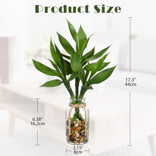 GnFlus Artificial Lucky Bamboo Plant 17.3 Fake Plant in Glass Vase for Home Indoor Table Centerpieces Desk Office Living Room Bedroom Decoration - Image 3