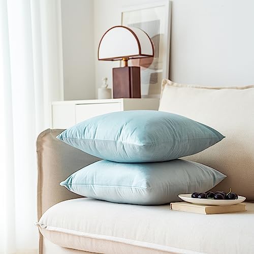 NiNi ALL Babyblue Velvet Throw Pillow Covers 22x22 Pack of 2 Decorative - Image 3