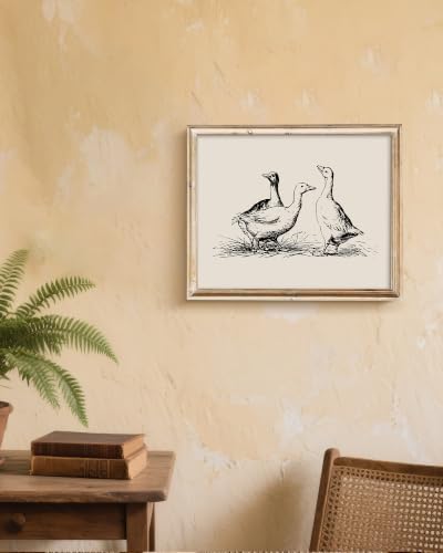 Vodefoad Goose Sketch Vintage Wall Art Retro Nursery Sketch Print Rustic Ducks Wall Decor for Gallery Nursery Bedroom Bathroom Office - 11x14Inch Unframe - Image 7