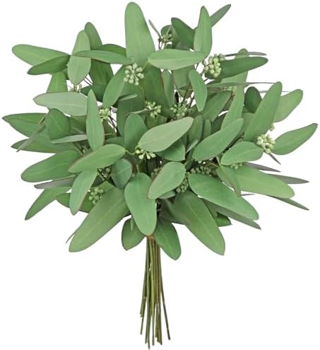 DILATATA Faux Eucalyptus Stems Willow Eucalyptus Leaves 14” Faux Greenery 16 Pcs Artificial Greenery Stems for DIY Bouquet Arrangements Centerpieces Shower Decorations-Artificial Eucalyptus Stems by DILATATA