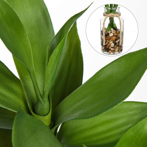 GnFlus Artificial Lucky Bamboo Plant 17.3 Fake Plant in Glass Vase for Home Indoor Table Centerpieces Desk Office Living Room Bedroom Decoration - Image 4