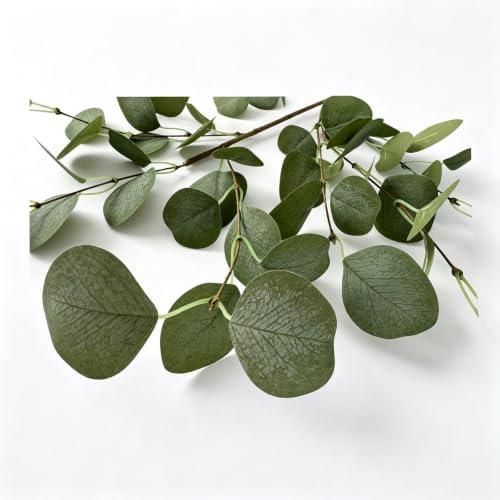 4pcs 24in Artificial Eucalyptus Stems with 9 Branches Realistic Silk Faux Eucalyptus Greenery for Vase Wedding Bouquet Table Centerpiece Home Party Decor Pet Safe Pollen Free Fake Greenery - Image 7