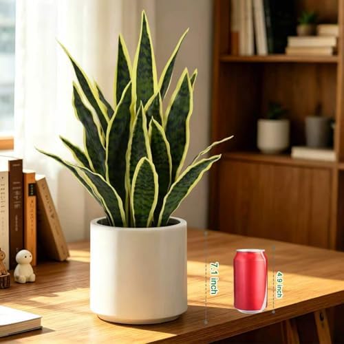 Faux Snake Plant 22" Tall, Realistic Touch Leaves, Potted Artificial Plants Indoor for Home Decor Small Office Home Living Room-Yellow - Image 6