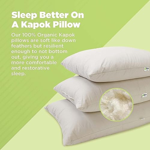 Bean Products Organic Kapok Hull Pillow, Toddler/Kids 13" x 18" - Image 3