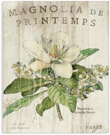 Stupell Industries French Magnolias In Spring Stretched Canvas Wall Art, Proudly Made in USA, Design By Artist Sue Schlabach, 16x20 by StupellIndustries