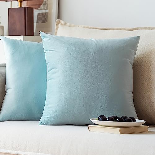 NiNi ALL Babyblue Velvet Throw Pillow Covers 22x22 Pack of 2 Decorative by NiNiALL