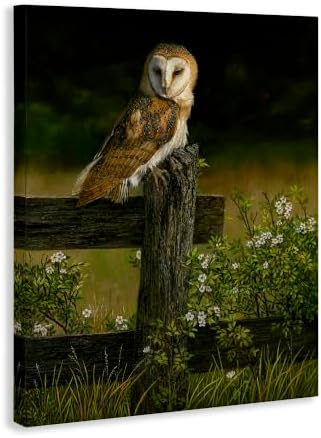 Stupell Industries Barn Owl Fence Woodland, 16 x 20 Inch Canvas Wall Art - Image 3