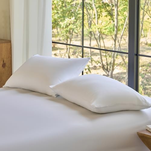 DOZ by SIJO Pillowcase Set, 100% Viscose derived from Organically Grown Bamboo, Buttery Soft, Silky, Breathable, Cooling, Oeko-TEX, High GSM, 2-Pack, Envelope Closure (Queen, Snow) by DOZ