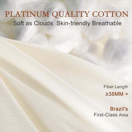 YOUR MOON Natural Wool Pillow King, Flat & Thin Wool Pillow for Sleeping, Breathable Cotton Cover, Low-Loft Bed Pillows for Back and Stomach Sleepers (Off White) - Image 4