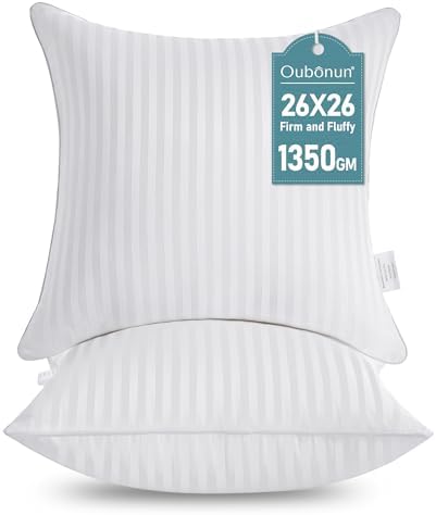 Oubonun 26 x 26 Throw Pillow Inserts Set of 2 by Oubonun