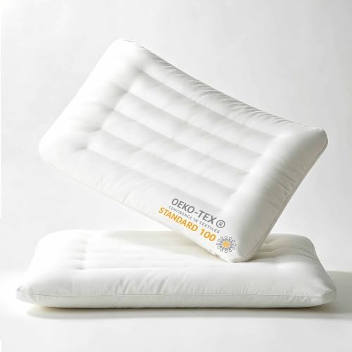 Ultra Flat Thin Pillow for Sleeping 2.5 inch Height Low Profile Slim Soft Bed Pillow for Stomach Back Sleepers Queen Size Set of 2 Pack 18"x30" Hypoallergenic Skin Friendly by iFaon