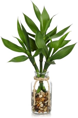 GnFlus Artificial Lucky Bamboo Plant 17.3 Fake Plant in Glass Vase for Home Indoor Table Centerpieces Desk Office Living Room Bedroom Decoration by GnFlus