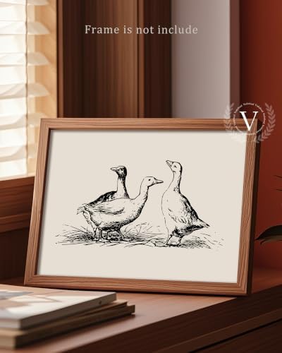 Vodefoad Goose Sketch Vintage Wall Art Retro Nursery Sketch Print Rustic Ducks Wall Decor for Gallery Nursery Bedroom Bathroom Office - 11x14Inch Unframe - Image 3