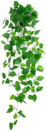 Freyalife Fake Hanging Plants for Room Decor,1pcs Artificial Potted Plants Vines for Wall Home Office Aesthetic Living Kitchen Bathroom Coffee Table Shelf Indoor Outdoor Farmhouse Patio Decorations by Unknown
