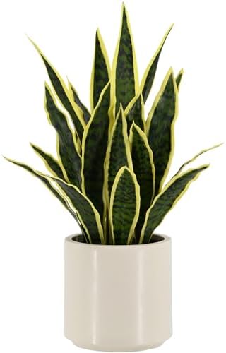 Faux Snake Plant 22" Tall, Realistic Touch Leaves, Potted Artificial Plants Indoor for Home Decor Small Office Home Living Room-Yellow by Unknown