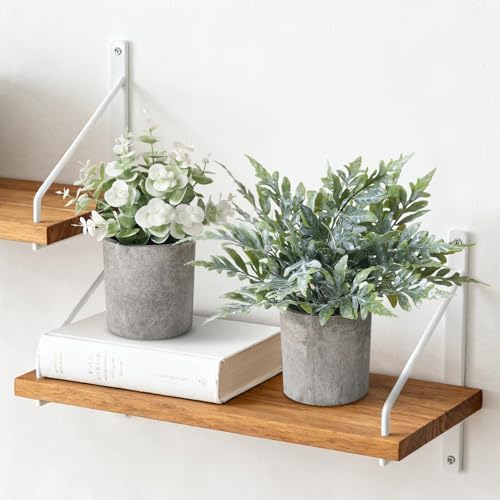 3 Pack Mini Potted Fake Plants Artificial Plastic Indoor Eucalyptus Plants for Home, Office, Desk, Bathroom, Coffee Table & Shelf (Green) - Image 5