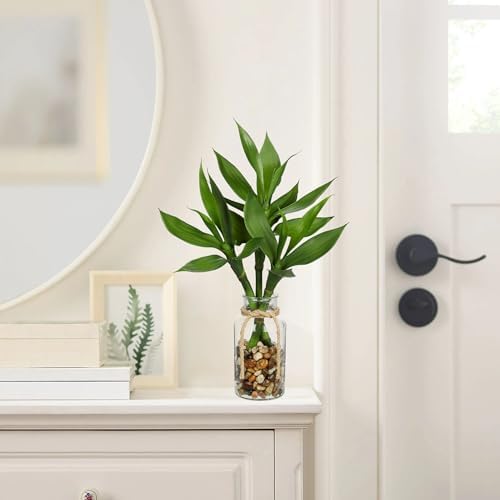 GnFlus Artificial Lucky Bamboo Plant 17.3 Fake Plant in Glass Vase for Home Indoor Table Centerpieces Desk Office Living Room Bedroom Decoration - Image 2