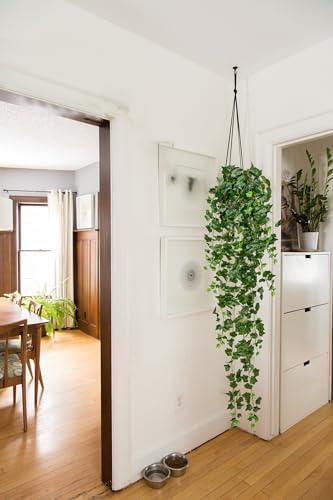 Hollyone Artificial Hanging Plants 6FT Fake Ivy Vine Faux Ivy Leaves Hanging Plant Greenery for Wall House Room Patio Indoor Outdoor Home Shelf Office Wedding Decor - Image 3