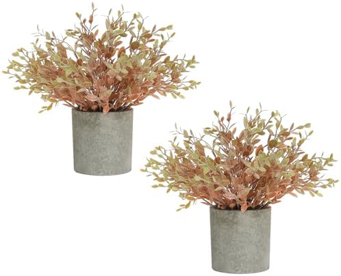 2 Pack Small Potted Artificial Eucalyptus Plant for Fall Decor, Faux Orange Eucalyptus Plants, Artificial Potted Greenery for Bedroom Kitchen Farmhouse Home Decor by GLUUFLOWER