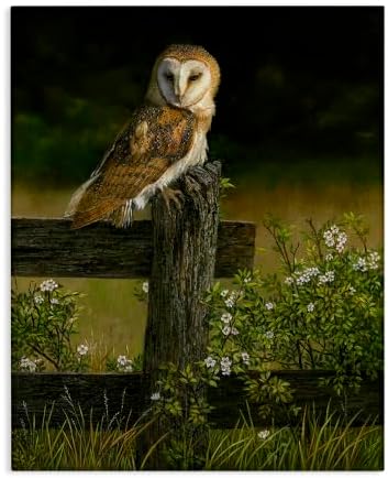 Stupell Industries Barn Owl Fence Woodland, 16 x 20 Inch Canvas Wall Art by StupellIndustries