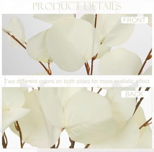 Cream White Eucalyptus Stems Fake Eucalyptu Leaves 34” Long Silver Dollar Leaves 5 Pcs Silk Eucalyptu Stems for DIY Bouquet Arrangements Centerpieces Shower Decorations-Artificial Eucalyptus Spray - Image 4
