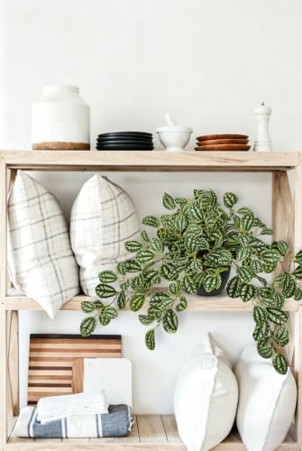 Briful Artificial Potted Plant Indoor, 19.6" Faux Watermelon Peperomia Trailing Plant in Black Pot, Realistic Fake Plants with Cascading Green Leaves for Shelf Bathroom Office Desk Kitchen Home Decor - Image 5