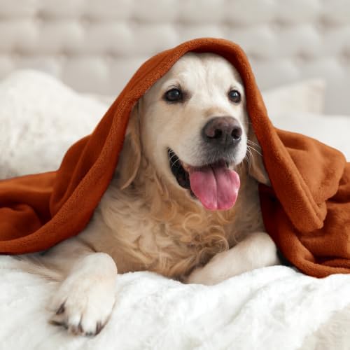 BEDELITE Fleece Blanket Soft Plush Throw for Couch Terracotta 50"x60" - Image 7