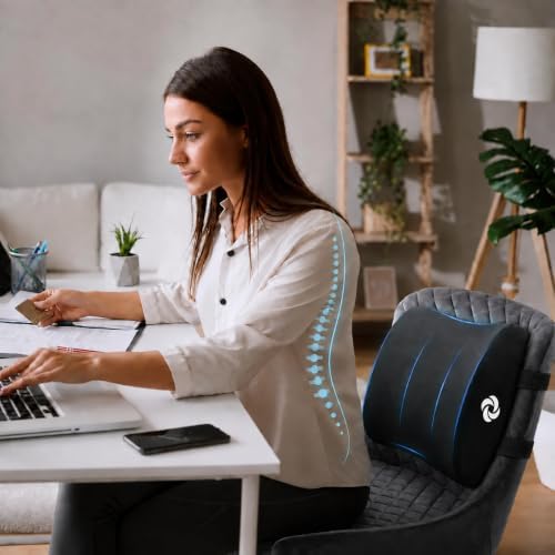 Samsonite Lumbar Support Pillow for Office Chair and Car Seat, Perfectly Balanced Memory Foam, Versatile Use Lower Back Cushion, Black Plush - Image 2