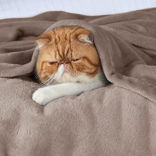 Bedsure GentleSoft Fleece Blankets Twin Size Light Brown - 300GSM Lightweight Plush Fuzzy Cozy Soft Blanket for Bed, Sofa, Couch, Travel, Camping, 60x80 inches - Image 3
