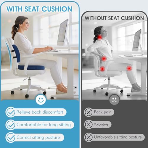 CushZone X-Large Seat Cushion and Lumbar Support Pillow for Office, Blue - Image 3