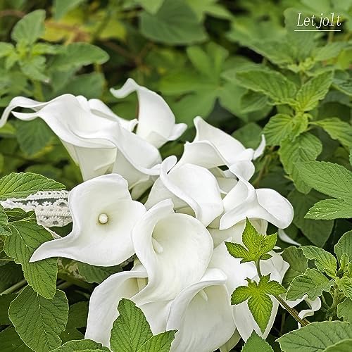 Letjolt White Calla Lily Artificial Flowers 20 Pieces Bouquet - Image 3