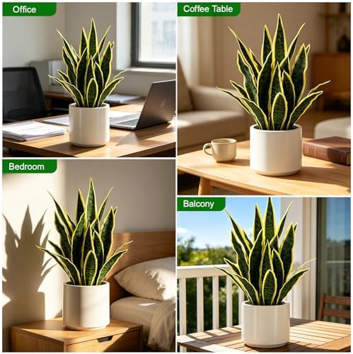 Faux Snake Plant 22" Tall, Realistic Touch Leaves, Potted Artificial Plants Indoor for Home Decor Small Office Home Living Room-Yellow - Image 3