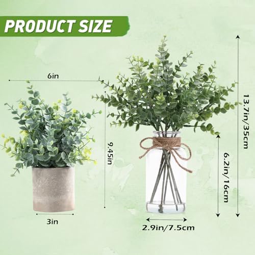 Coferset Eucalyptus Stems in Glass Vase with Faux Water, Sage Green - Image 4