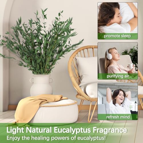 Real Eucalyptus Stems Greenery Decor 20PCS 17" Dried Willow Eucalyptus Plant Preserved Greenery Stems for Home Vase Filler Wedding Flowers Arrangement Spring Decorations - Image 2
